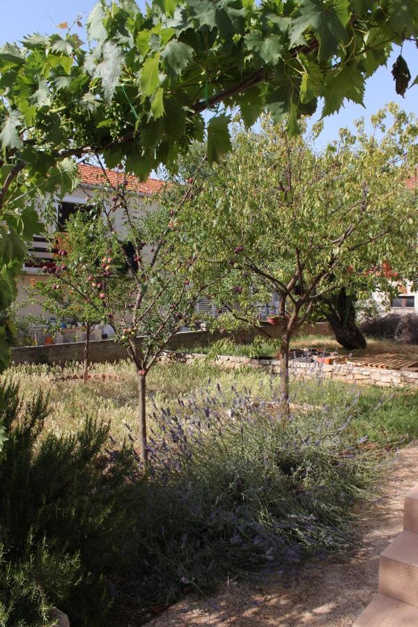 Apartments With A Parking Space Sali, Dugi Otok - 8136 外观 照片